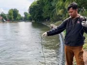 DLH Surabaya Sebut Penurunan Dissolved Oxygen di Sungai Jadi Penyebab Ikan Bermunculan di Banyu Urip dan Kalimas