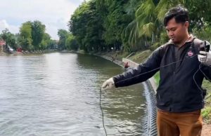 DLH Surabaya Sebut Penurunan Dissolved Oxygen di Sungai Jadi Penyebab Ikan Bermunculan di Banyu Urip dan Kalimas