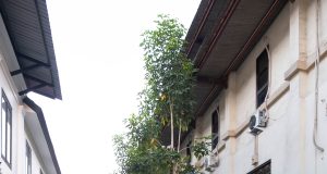Riding Through Heritage: Wisata Sejarah dan Kuliner yang Menghangatkan Hati di Hari Pahlawan https://www.tiktok.com/@yudi.propertymadiun