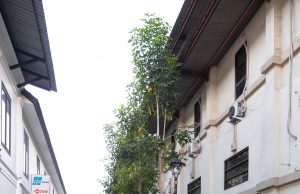 Riding Through Heritage: Wisata Sejarah dan Kuliner yang Menghangatkan Hati di Hari Pahlawan https://www.tiktok.com/@yudi.propertymadiun