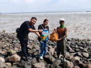 WARINGIN HOSPITALITY WUJUDKAN KEPEDULIAN LINGKUNGAN MELALUI AKSI BERSIH PANTAI KENJERAN BERSAMA TUNAS HIJAU WARINGIN HOSPITALITY WUJUDKAN KEPEDULIAN LINGKUNGAN MELALUI AKSI BERSIH PANTAI KENJERAN BERSAMA TUNAS HIJAU
