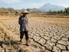 BMKG: Musim Kemarau Meluas, Warga Diimbau Waspada Kekeringan Meteorologis