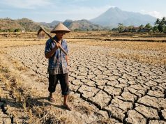 BMKG: Musim Kemarau Meluas, Warga Diimbau Waspada Kekeringan Meteorologis
