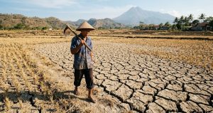 BMKG: Musim Kemarau Meluas, Warga Diimbau Waspada Kekeringan Meteorologis