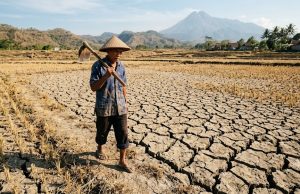BMKG: Musim Kemarau Meluas, Warga Diimbau Waspada Kekeringan Meteorologis