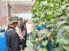 Dari Masjid Menuju Kebun Produktif, Tim Marbot Manarul Iman Belajar Integrated Farming di Sedesa Farm Lamongan