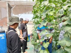 Dari Masjid Menuju Kebun Produktif, Tim Marbot Manarul Iman Belajar Integrated Farming di Sedesa Farm Lamongan