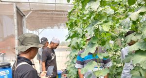 Dari Masjid Menuju Kebun Produktif, Tim Marbot Manarul Iman Belajar Integrated Farming di Sedesa Farm Lamongan