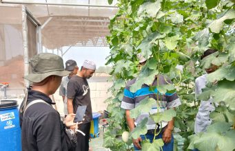 Dari Masjid Menuju Kebun Produktif, Tim Marbot Manarul Iman Belajar Integrated Farming di Sedesa Farm Lamongan