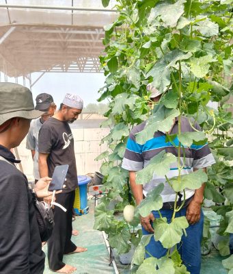 Dari Masjid Menuju Kebun Produktif, Tim Marbot Manarul Iman Belajar Integrated Farming di Sedesa Farm Lamongan