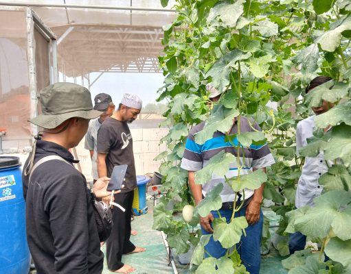 Dari Masjid Menuju Kebun Produktif, Tim Marbot Manarul Iman Belajar Integrated Farming di Sedesa Farm Lamongan